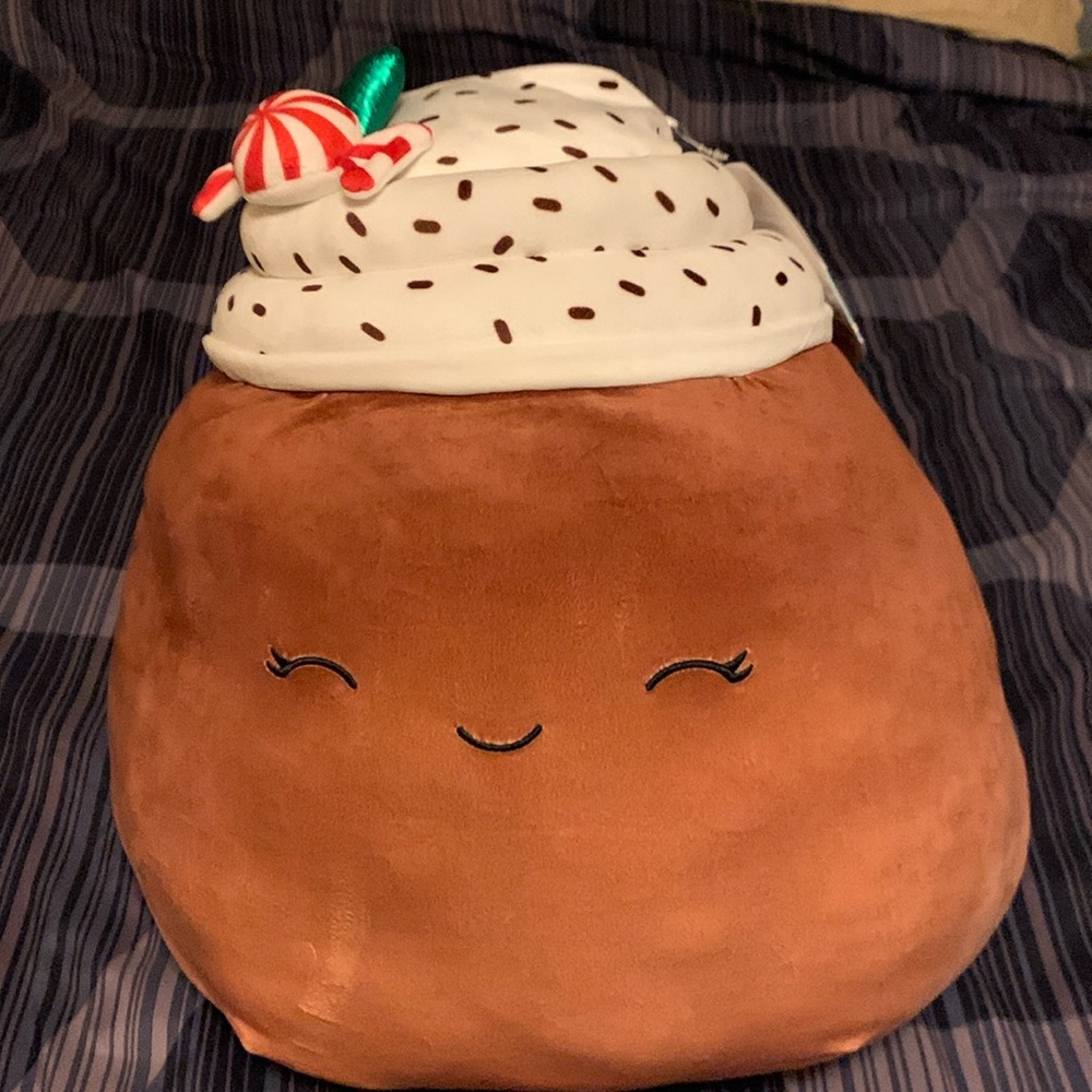 Cute peppermint mocha Squishmallow